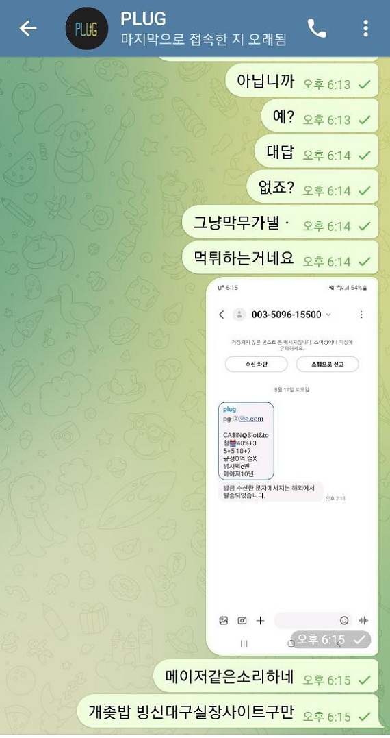 플러그 먹튀.jpg